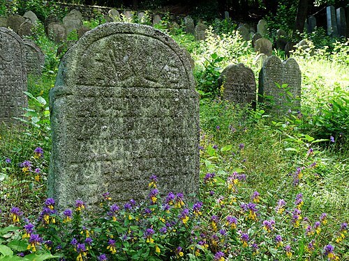 Jewish cemetery in Bohostice