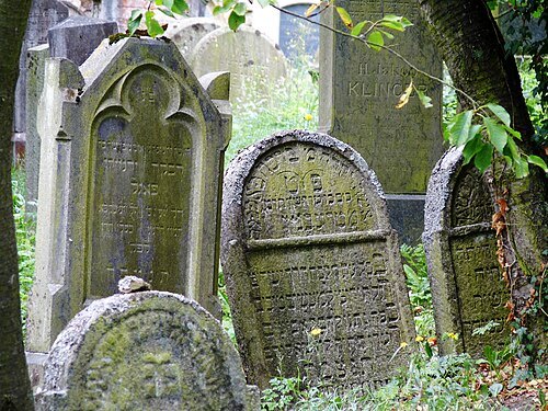 Jewish cemetery in Drážkov