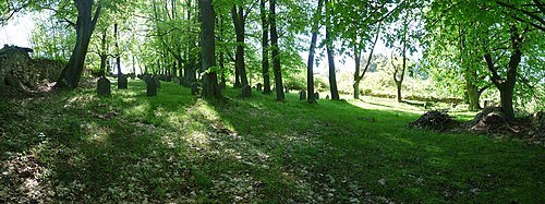 Jewish cemetery in Jistebnice