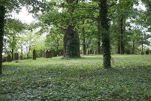 Jewish cemetery in Zalužany