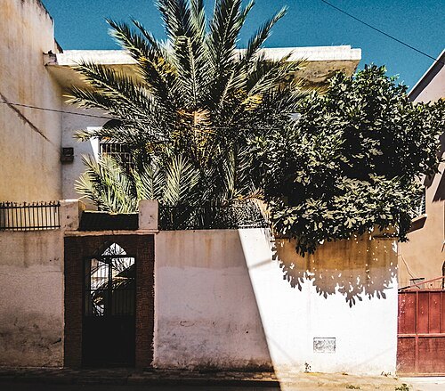 Rabbi Meir Toledano Synagogue in Meknes