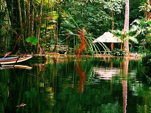 Bosque Rodrigues Alves