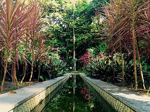 Jardim Botânico do Recife