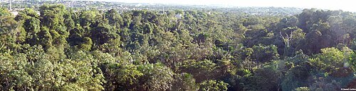 Sumaúma State Park