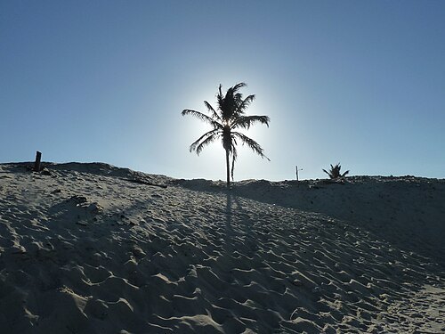 Icaraí beach