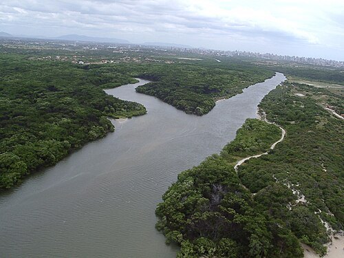 Coaçu river
