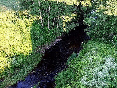 Šešuva