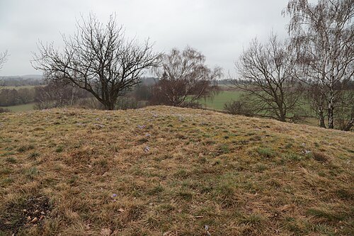 Špilberk