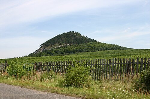 Špičák Most