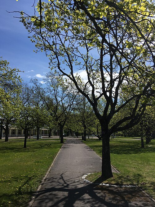 Beach Park