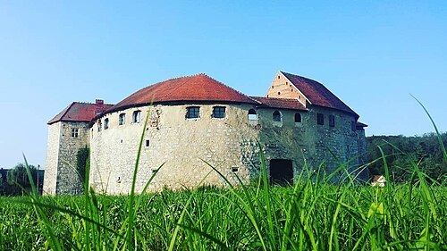 Stari grad Ribnik