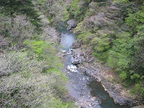 多摩川