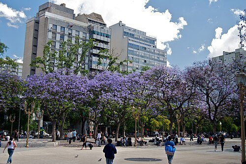 plaza Miserere