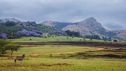 Mantenga Nature Reserve