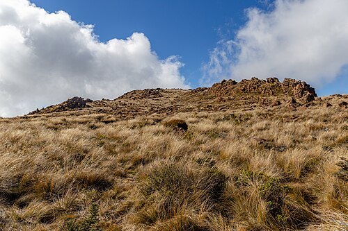 Dun Mountain