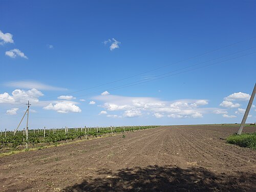 Așezare - Roșcani