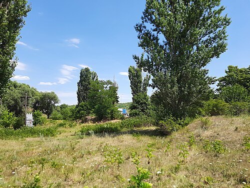 Ialoveni III settlement