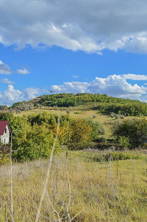 Costești V settlement