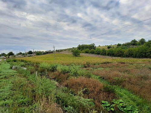 Dănceni I settlement