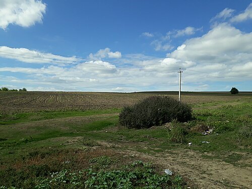 Burghelea II settlement