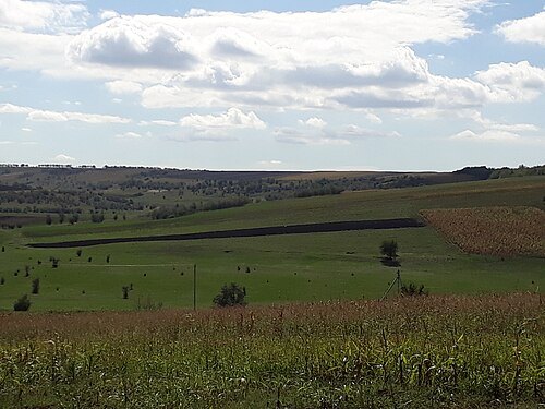 Burghelea IV settlement