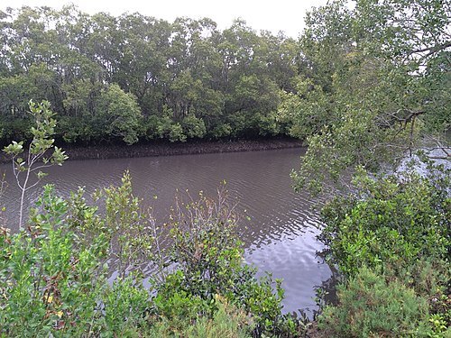 Norman Creek