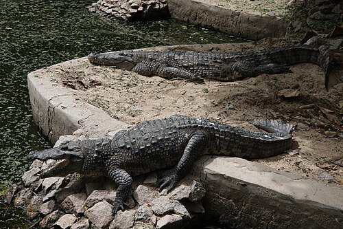 Sanda Kyarimi Park Zoo
