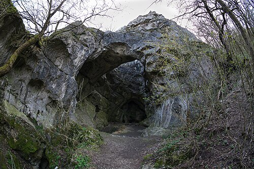 Jankovich Cave