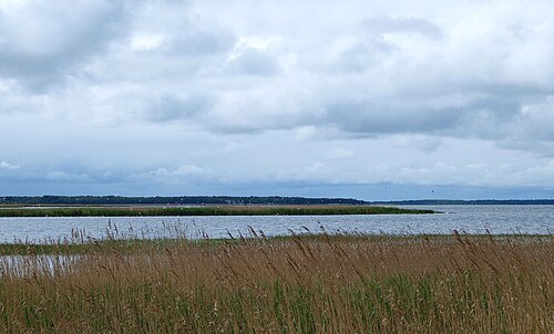 Haapsalu Bay