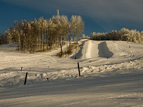 Kuutsemägi