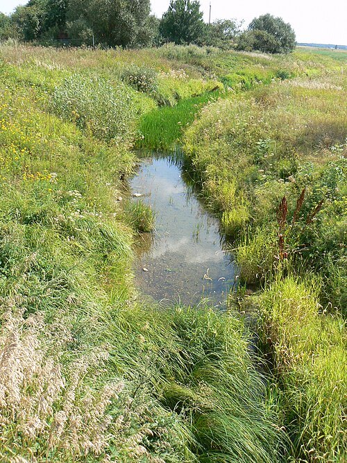 Baukštė