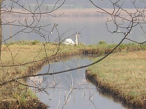 Lake Alserio