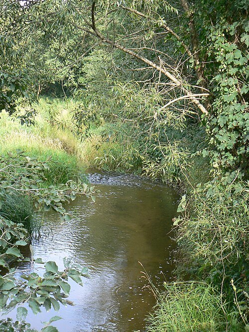 Blendžiava