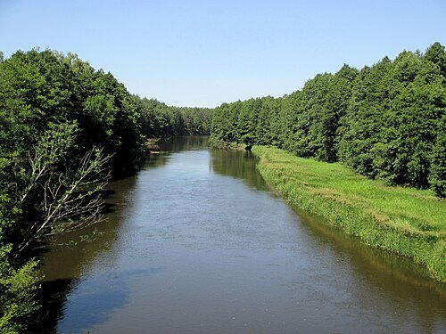 Ščara