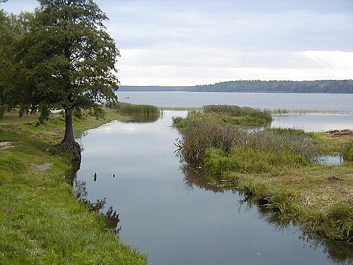 Bolupe