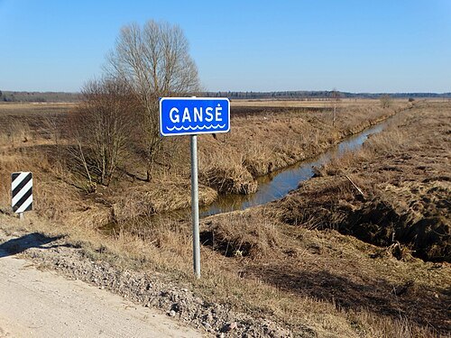 Gansė
