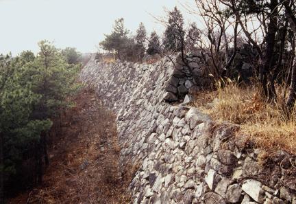 Seosaengpo Castle