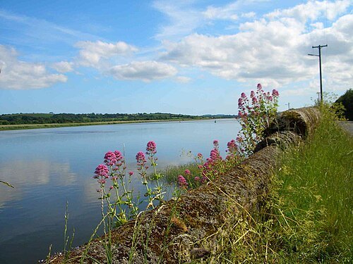 Río Suir