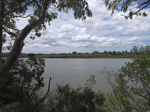Indooroopilly Island Conservation Park