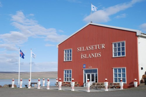 Seal centre Hvammstangi