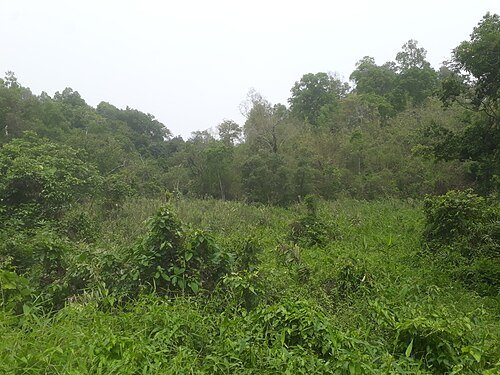 Garbhanga Wildlife Sanctuary