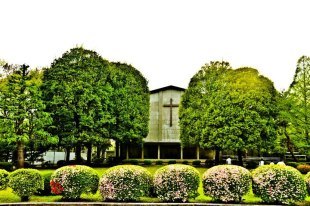 International Christian University