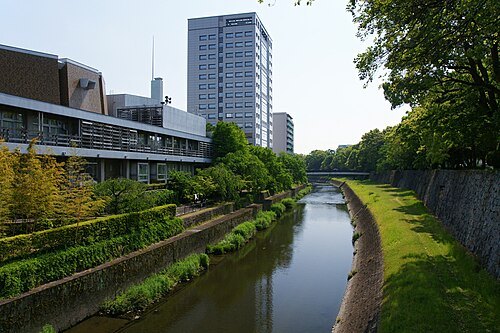 Tsuboi River