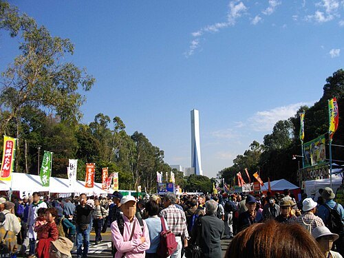 梦之岛公园