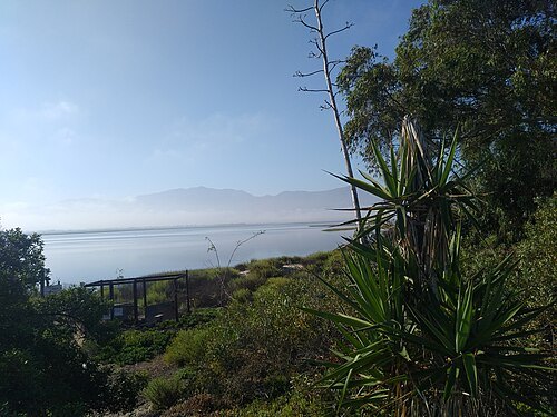 Estero Punta Banda