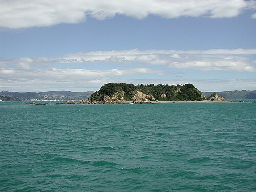 Mākaro / Ward Island