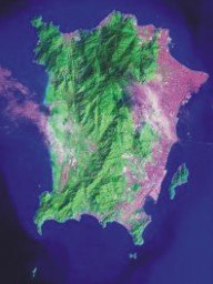 槟岛