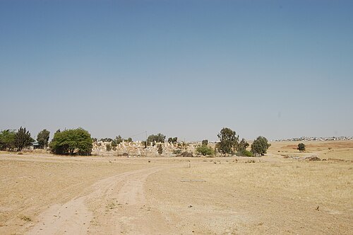 Tel Shoket