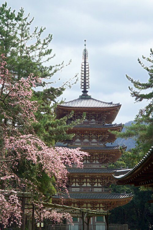 醍醐寺
