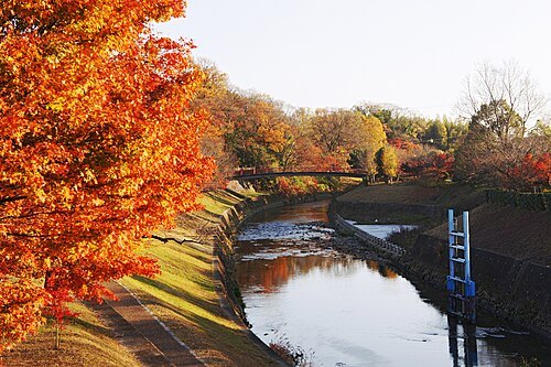 Tatsuta River